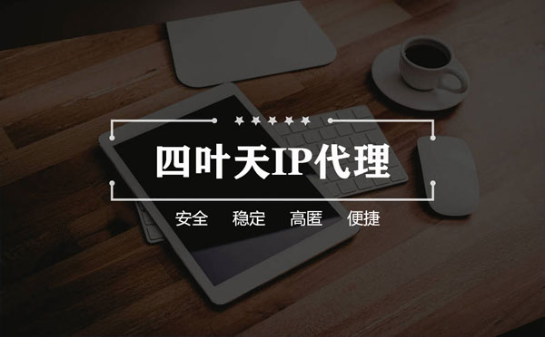 【公主岭代理IP】如何快速搭建代理IP？怎么检查代理的效果？